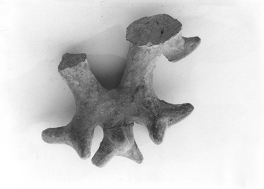 tazza-attingitoio/ ansa a protome zoomorfa